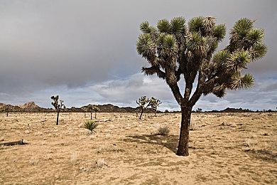 新一期Fami通评分出炉 动作游戏《打工人》获27分