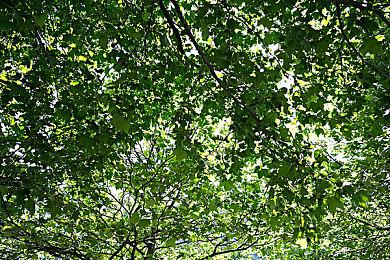 《地狱男爵》新作演示预告给人《神之手》既视感