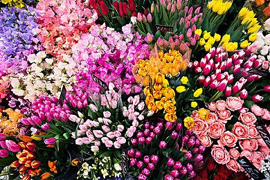 《星空》或支持Xbox Play Anywhere PC主机双端进度共享